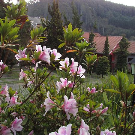 Pousada Flores Da Serra Monte Verde  Luaran gambar