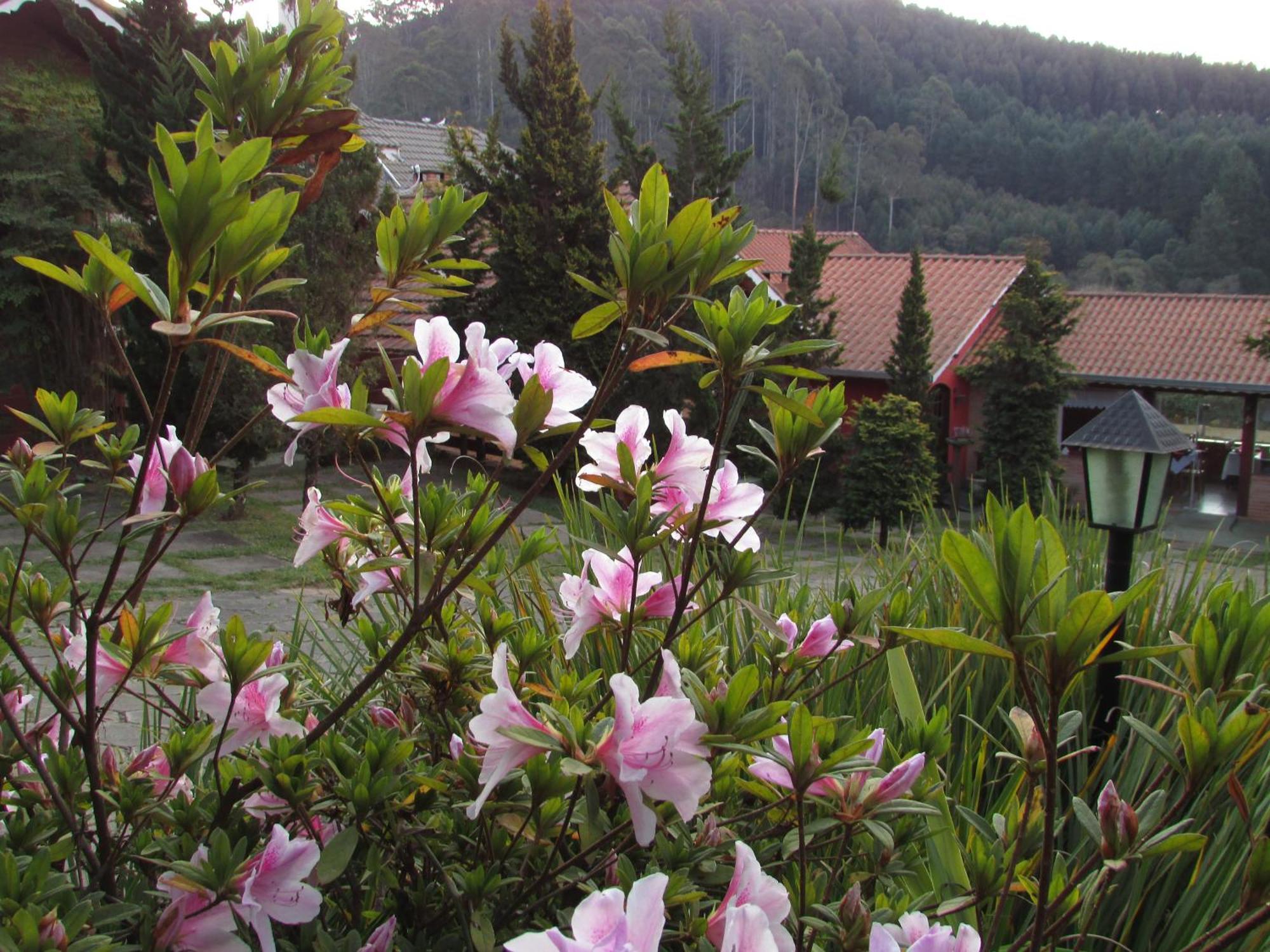 Pousada Flores Da Serra Monte Verde  Luaran gambar
